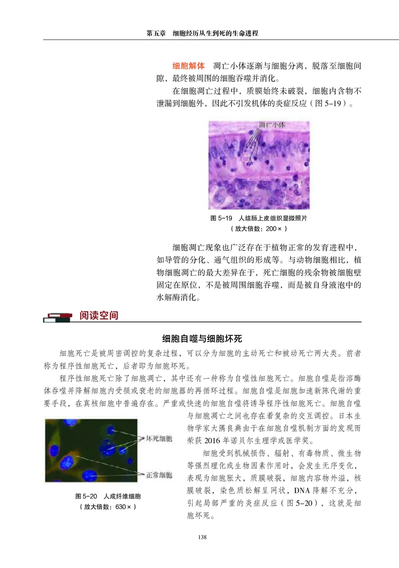 生物学必修1（电子版）_高中三年全科资料_高中_高中电子教材_高中生物学_沪科教版