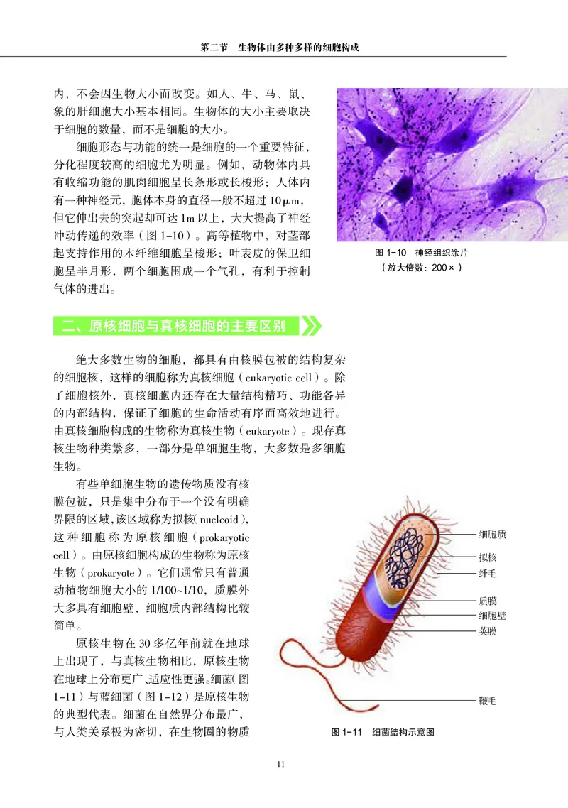 生物学必修1（电子版）_高中三年全科资料_高中_高中电子教材_高中生物学_沪科教版