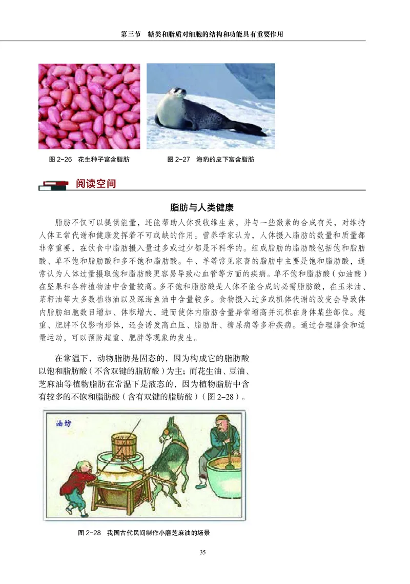 生物学必修1（电子版）_高中三年全科资料_高中_高中电子教材_高中生物学_沪科教版