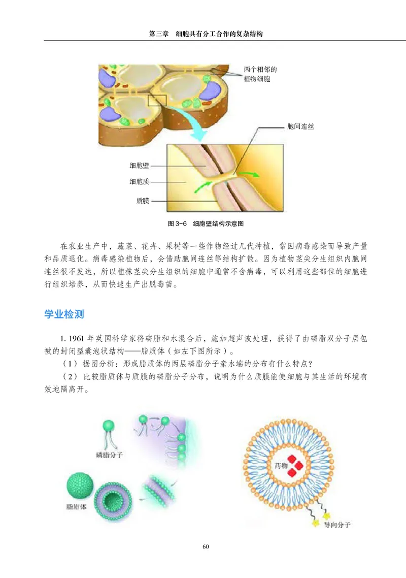 生物学必修1（电子版）_高中三年全科资料_高中_高中电子教材_高中生物学_沪科教版