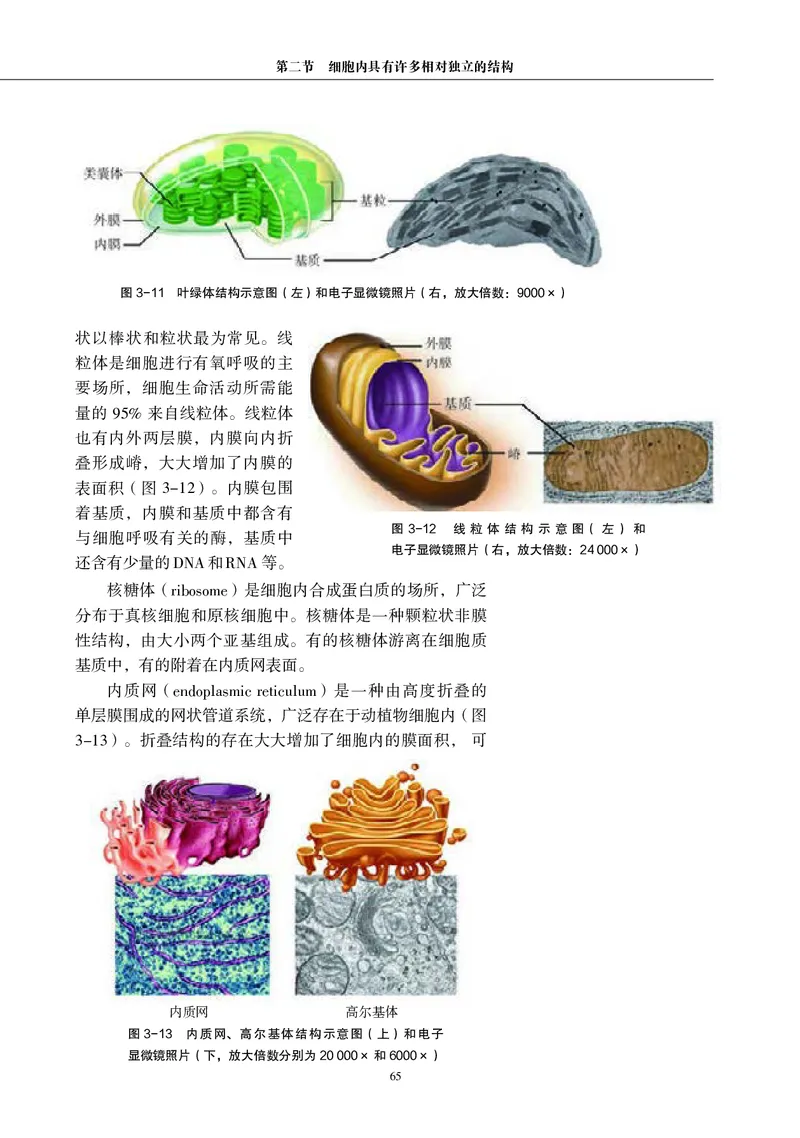 生物学必修1（电子版）_高中三年全科资料_高中_高中电子教材_高中生物学_沪科教版