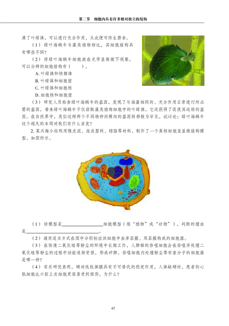 生物学必修1（电子版）_高中三年全科资料_高中_高中电子教材_高中生物学_沪科教版