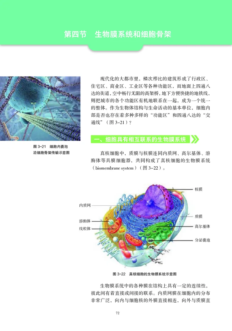 生物学必修1（电子版）_高中三年全科资料_高中_高中电子教材_高中生物学_沪科教版