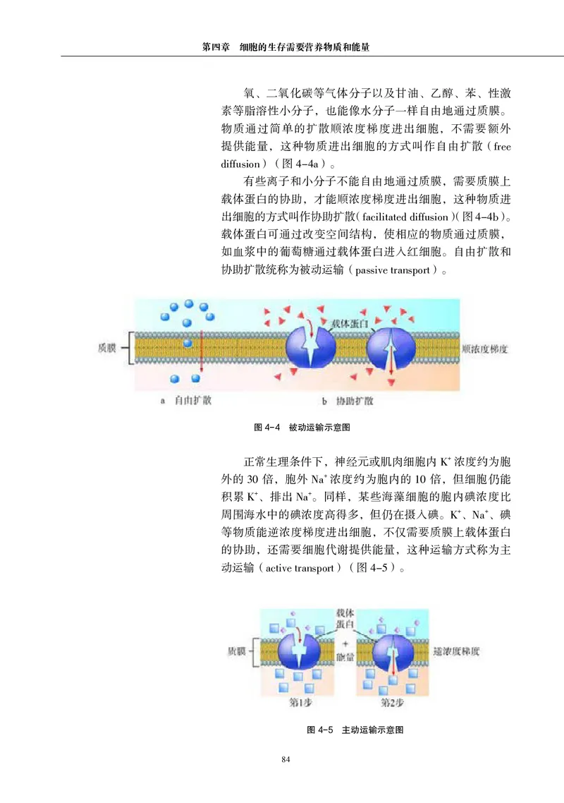 生物学必修1（电子版）_高中三年全科资料_高中_高中电子教材_高中生物学_沪科教版