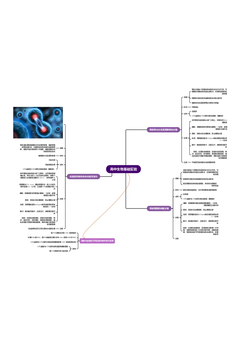 生物_高中三年全科资料_高中_高中九科知识点全景图