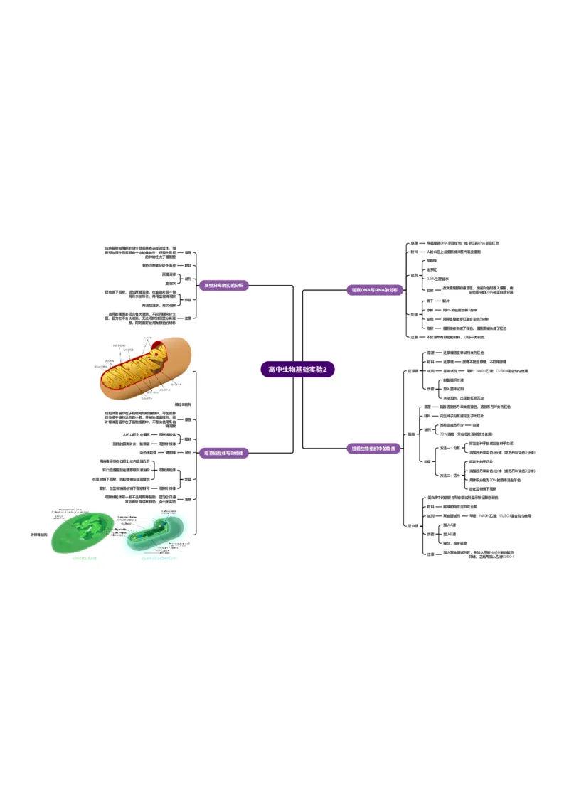 生物_高中三年全科资料_高中_高中九科知识点全景图