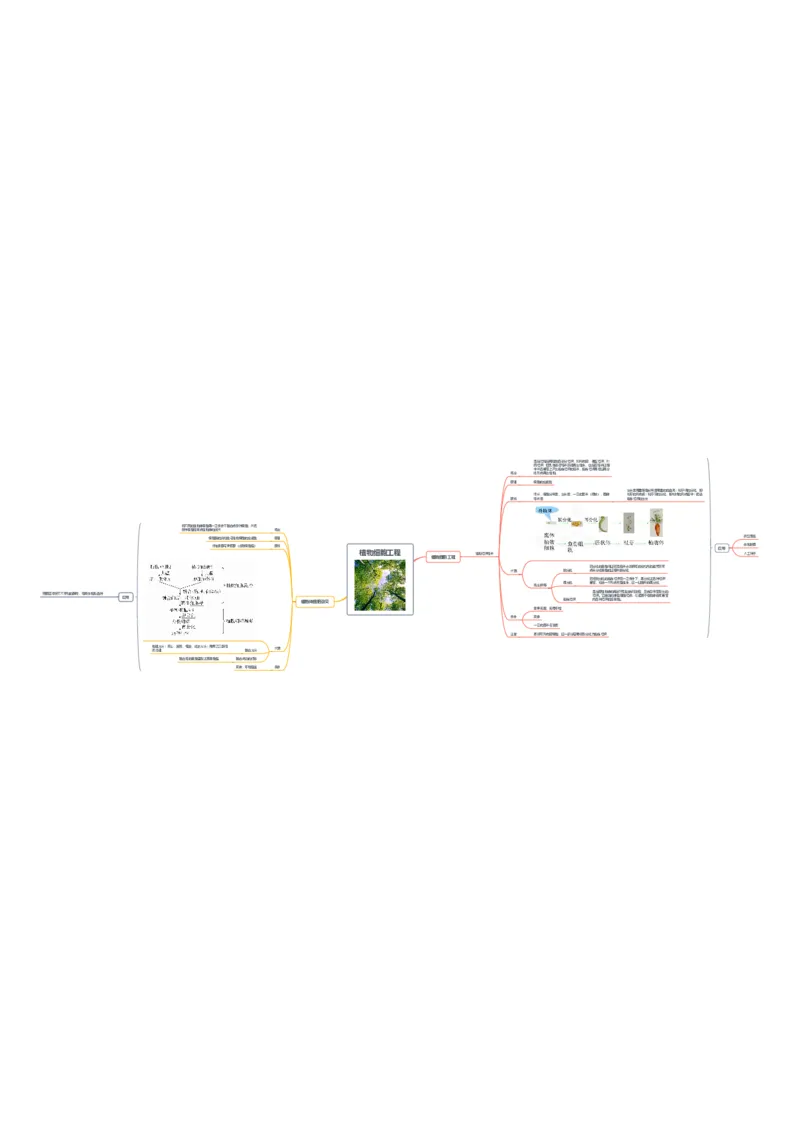 生物_高中三年全科资料_高中_高中九科知识点全景图