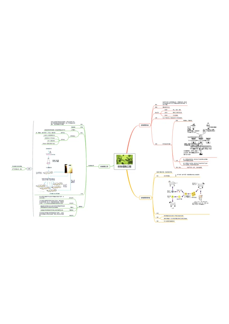 生物_高中三年全科资料_高中_高中九科知识点全景图