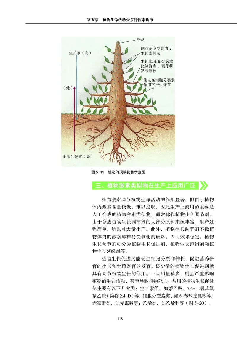 生物学选择性必修1（电子版）_高中三年全科资料_高中_高中电子教材_高中生物学_沪科教版