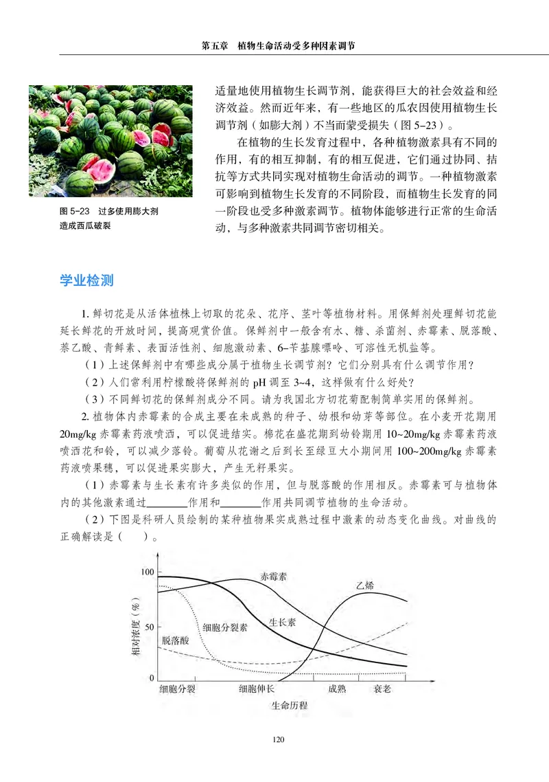 生物学选择性必修1（电子版）_高中三年全科资料_高中_高中电子教材_高中生物学_沪科教版