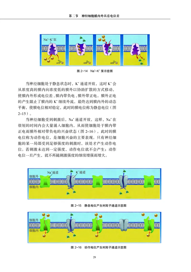 生物学选择性必修1（电子版）_高中三年全科资料_高中_高中电子教材_高中生物学_沪科教版