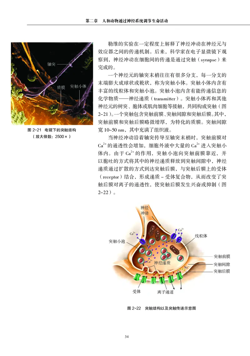 生物学选择性必修1（电子版）_高中三年全科资料_高中_高中电子教材_高中生物学_沪科教版