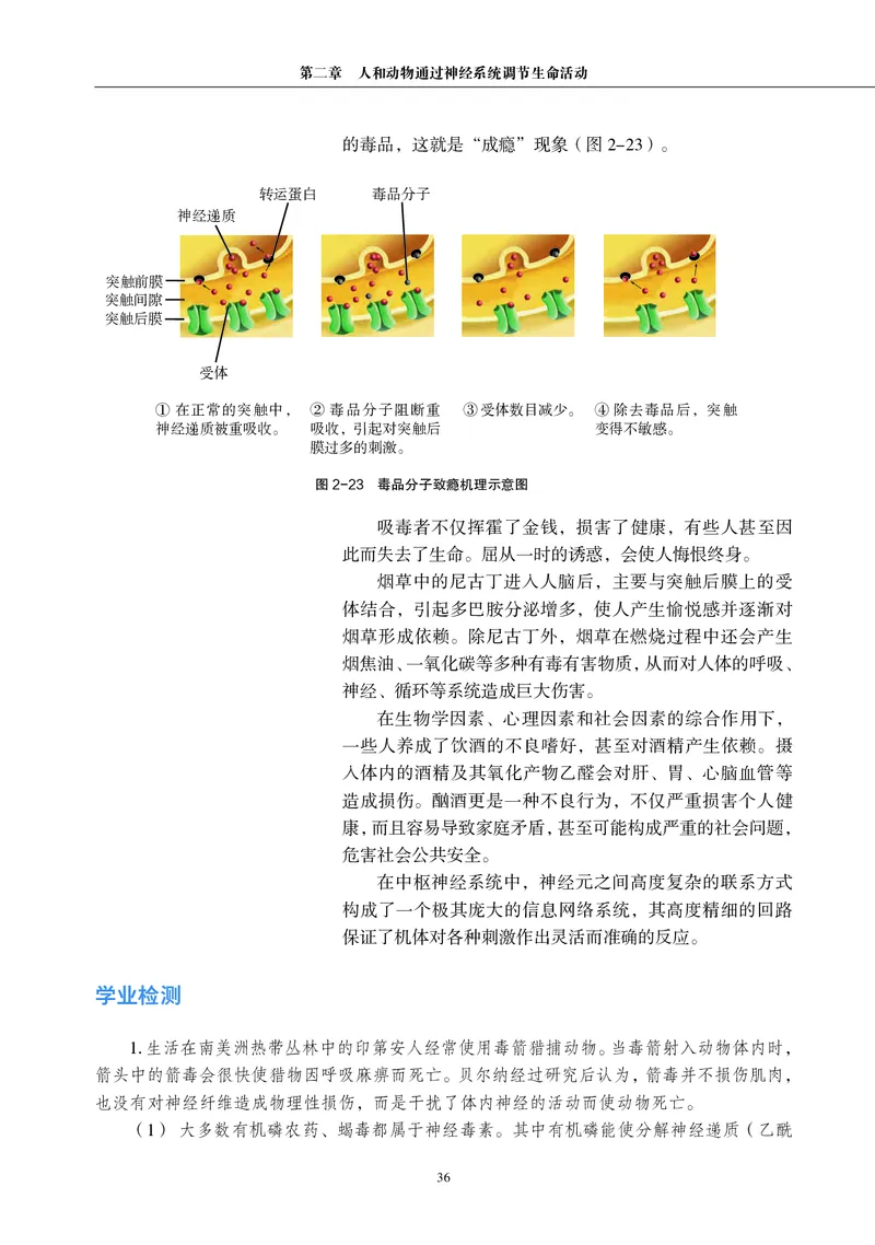 生物学选择性必修1（电子版）_高中三年全科资料_高中_高中电子教材_高中生物学_沪科教版