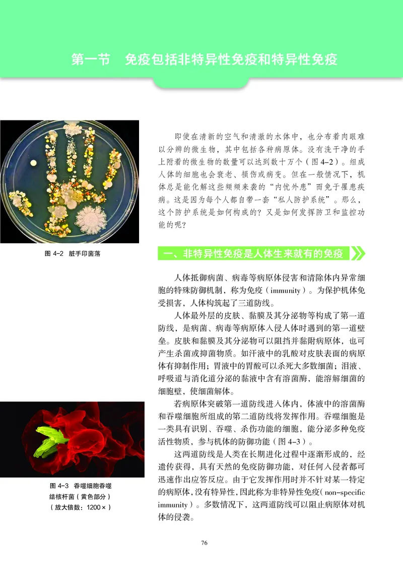生物学选择性必修1（电子版）_高中三年全科资料_高中_高中电子教材_高中生物学_沪科教版