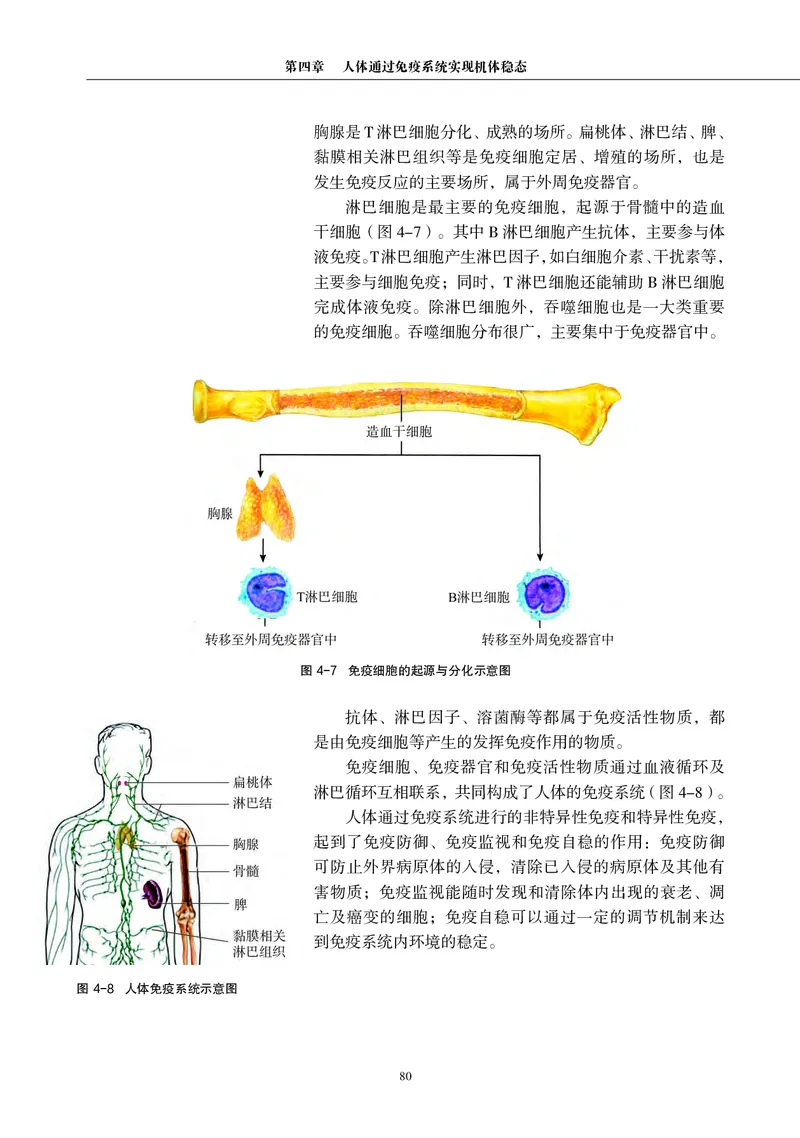 生物学选择性必修1（电子版）_高中三年全科资料_高中_高中电子教材_高中生物学_沪科教版