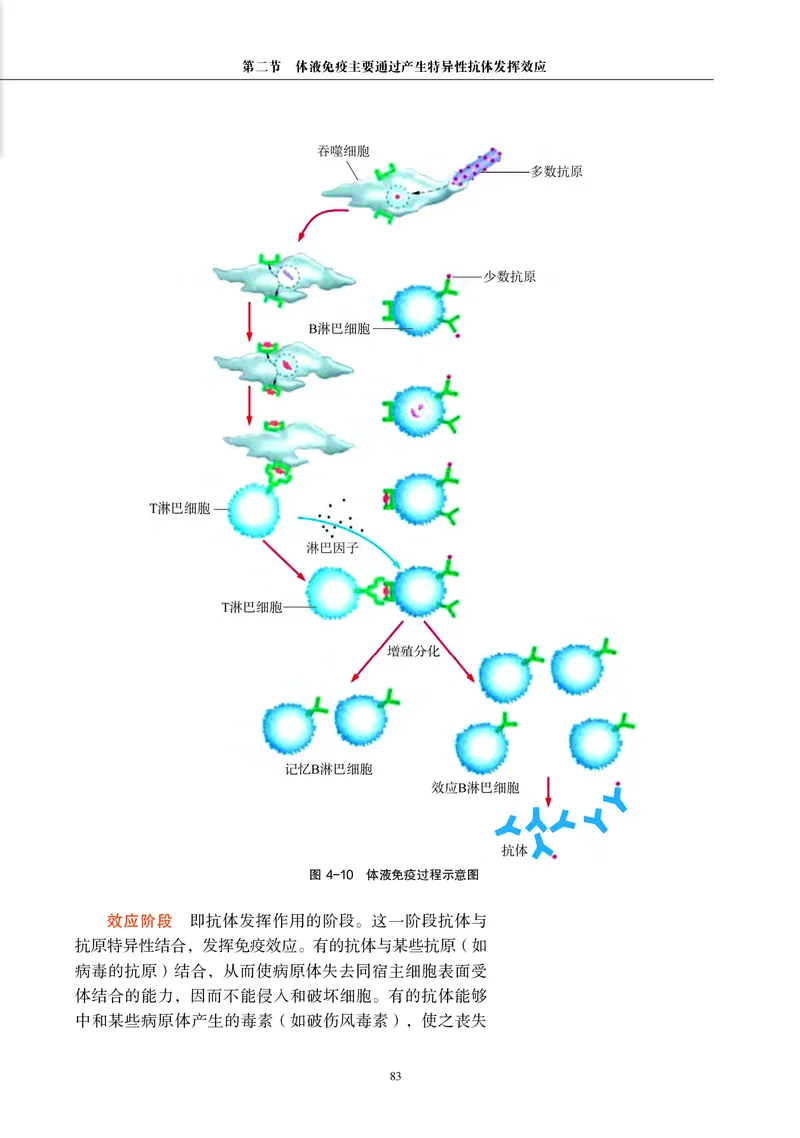 生物学选择性必修1（电子版）_高中三年全科资料_高中_高中电子教材_高中生物学_沪科教版