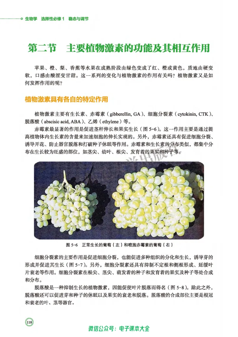 生物学选择性必修1稳态与调节_高中三年全科资料_高中_高中电子教材_高中生物学_北师大