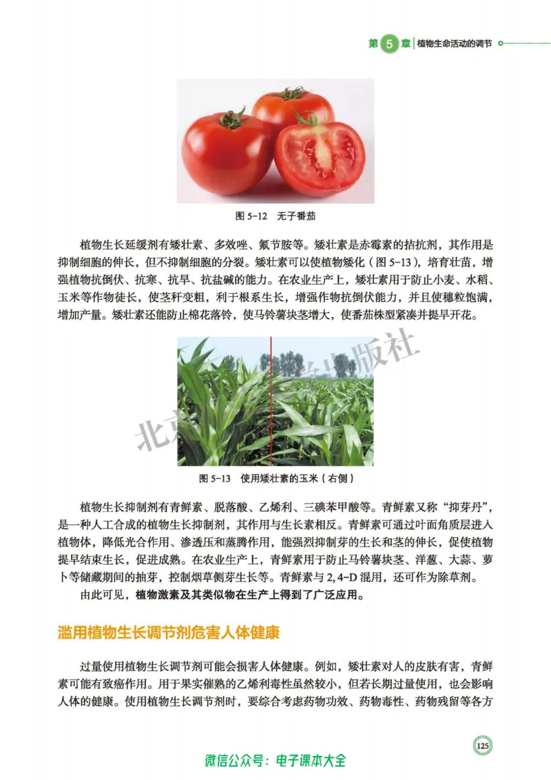 生物学选择性必修1稳态与调节_高中三年全科资料_高中_高中电子教材_高中生物学_北师大