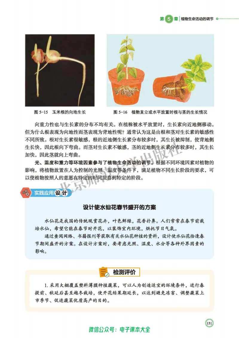 生物学选择性必修1稳态与调节_高中三年全科资料_高中_高中电子教材_高中生物学_北师大