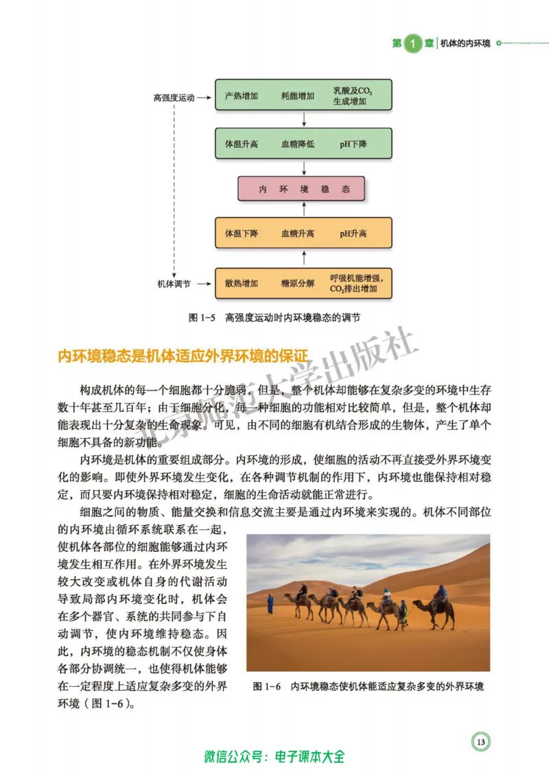 生物学选择性必修1稳态与调节_高中三年全科资料_高中_高中电子教材_高中生物学_北师大