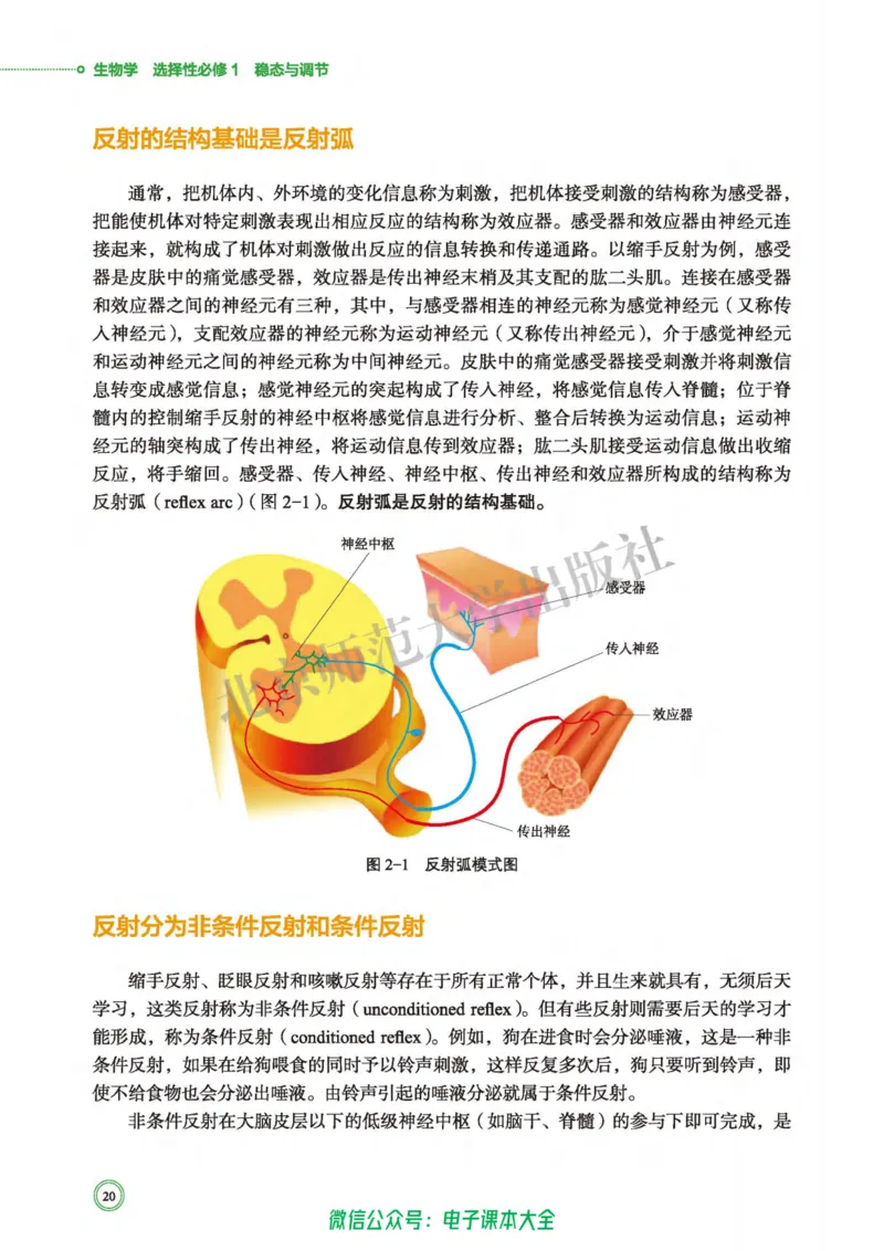 生物学选择性必修1稳态与调节_高中三年全科资料_高中_高中电子教材_高中生物学_北师大