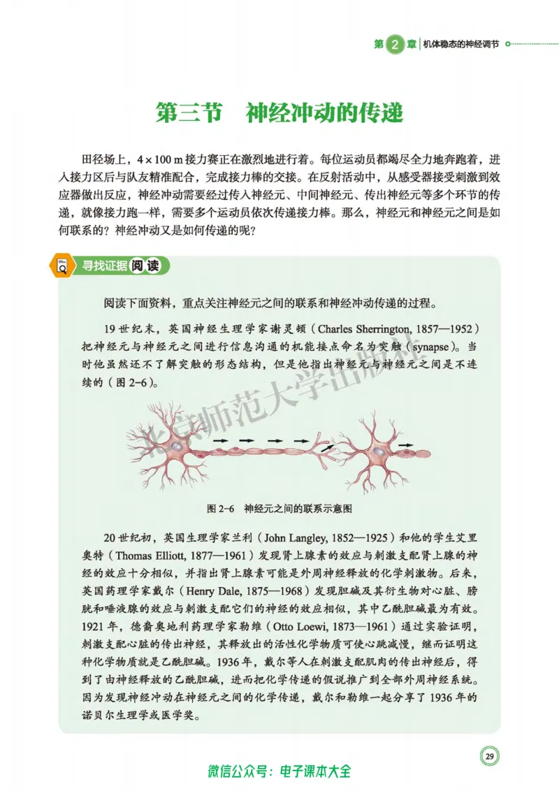 生物学选择性必修1稳态与调节_高中三年全科资料_高中_高中电子教材_高中生物学_北师大