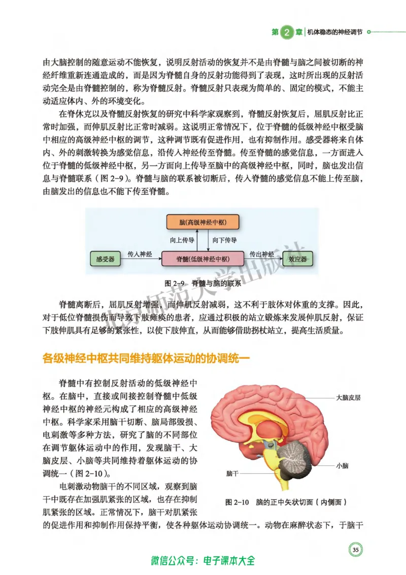 生物学选择性必修1稳态与调节_高中三年全科资料_高中_高中电子教材_高中生物学_北师大
