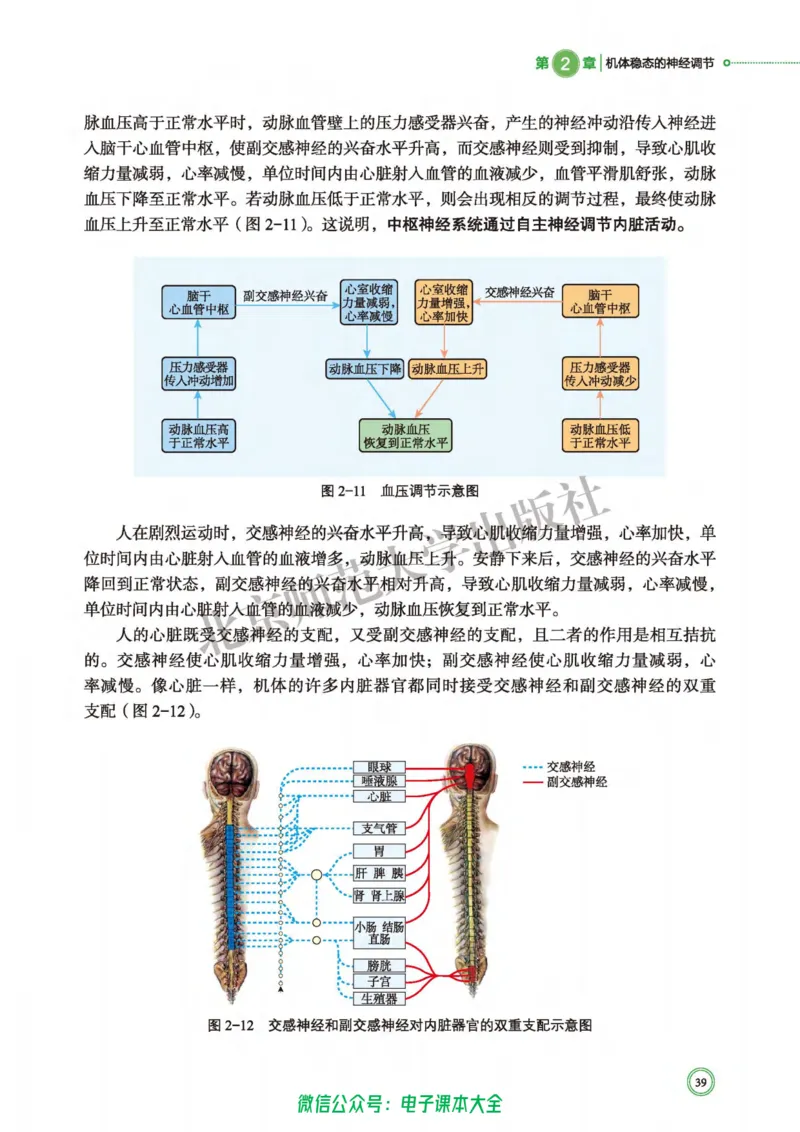 生物学选择性必修1稳态与调节_高中三年全科资料_高中_高中电子教材_高中生物学_北师大