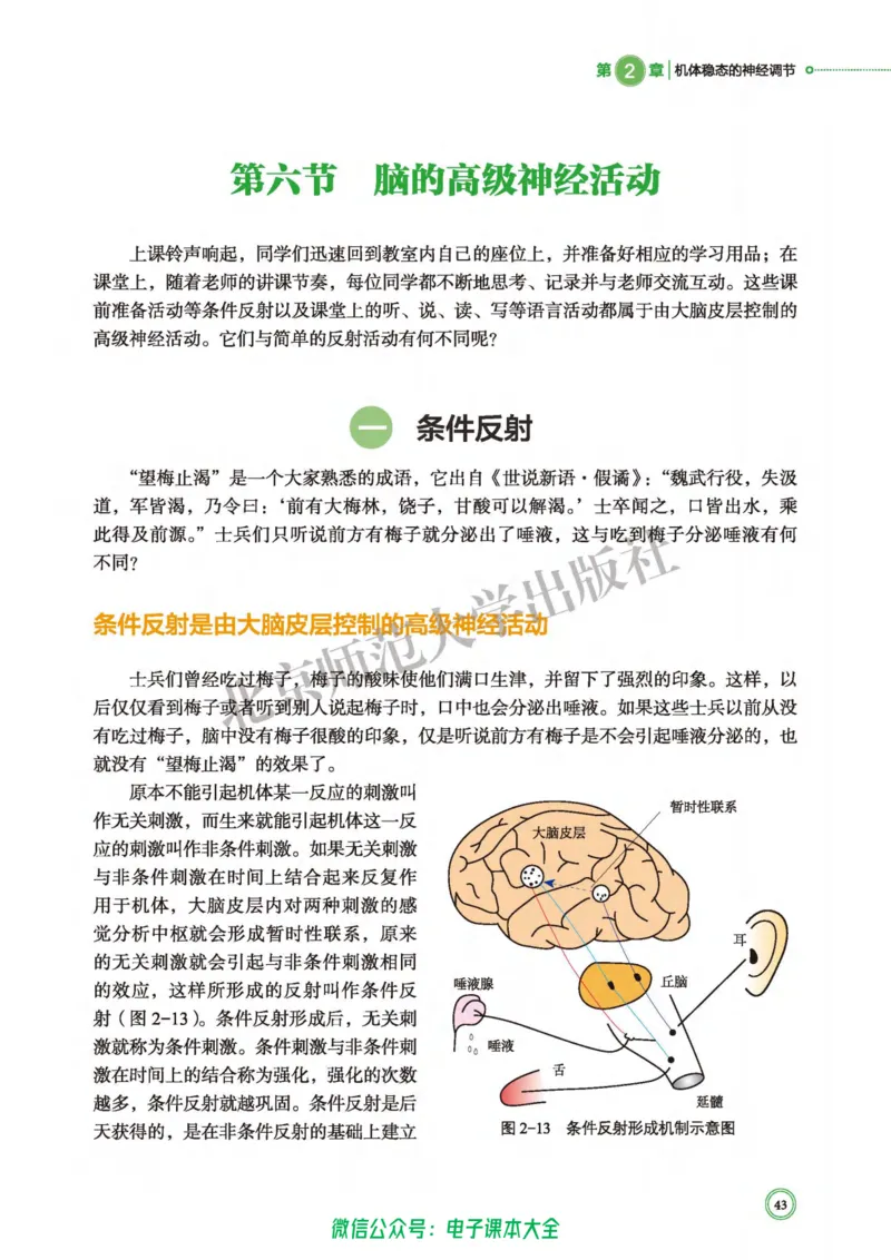 生物学选择性必修1稳态与调节_高中三年全科资料_高中_高中电子教材_高中生物学_北师大