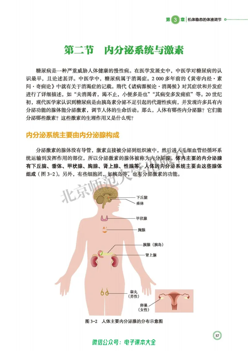 生物学选择性必修1稳态与调节_高中三年全科资料_高中_高中电子教材_高中生物学_北师大