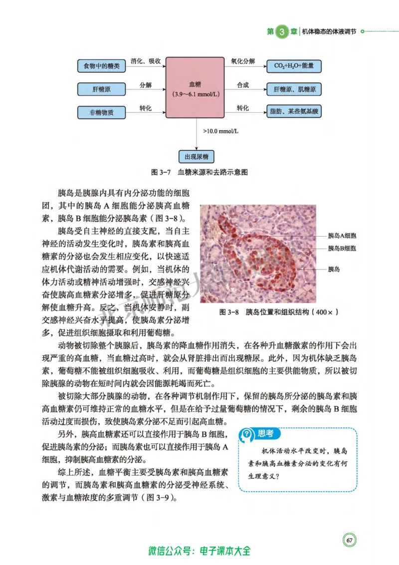 生物学选择性必修1稳态与调节_高中三年全科资料_高中_高中电子教材_高中生物学_北师大