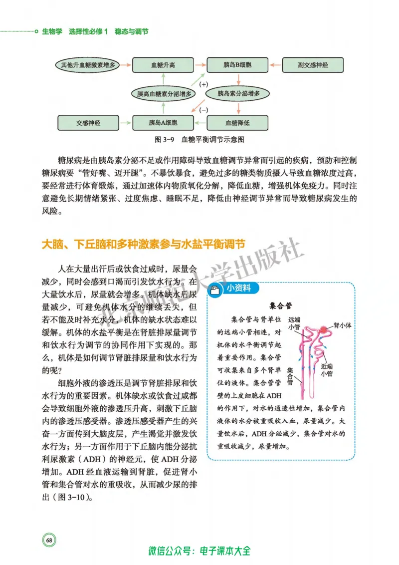 生物学选择性必修1稳态与调节_高中三年全科资料_高中_高中电子教材_高中生物学_北师大