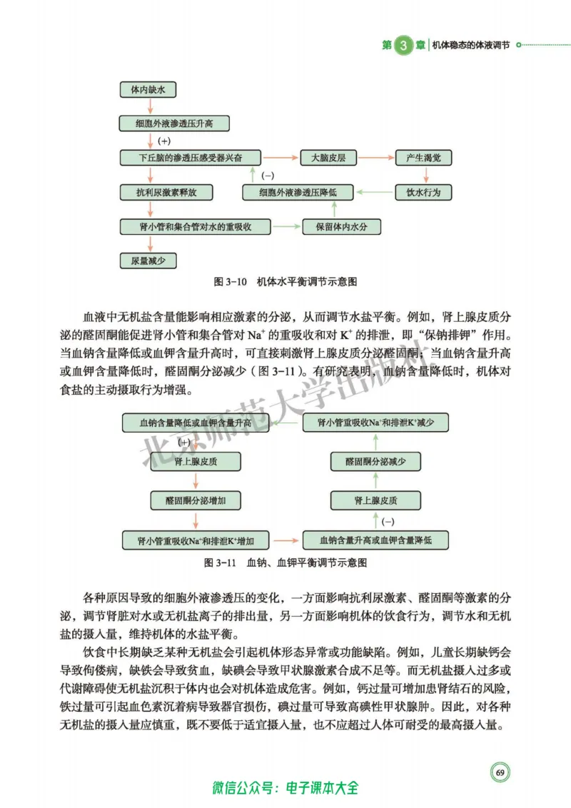生物学选择性必修1稳态与调节_高中三年全科资料_高中_高中电子教材_高中生物学_北师大