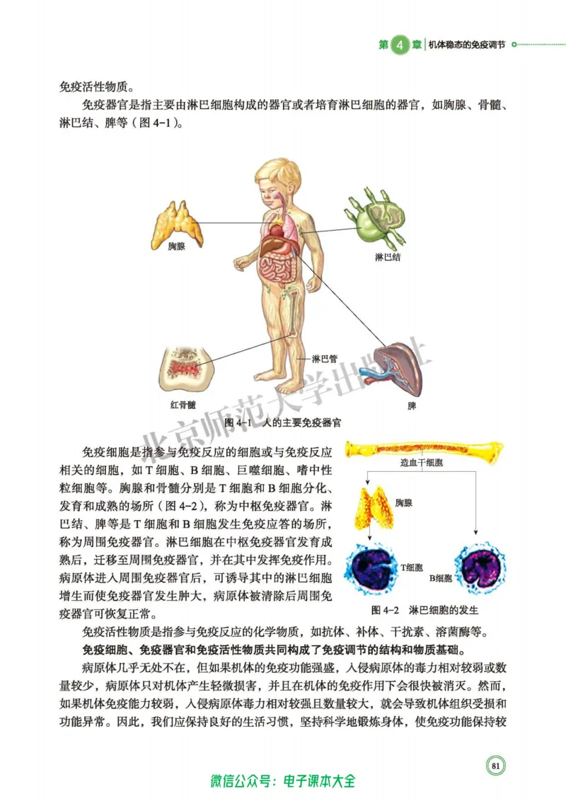 生物学选择性必修1稳态与调节_高中三年全科资料_高中_高中电子教材_高中生物学_北师大
