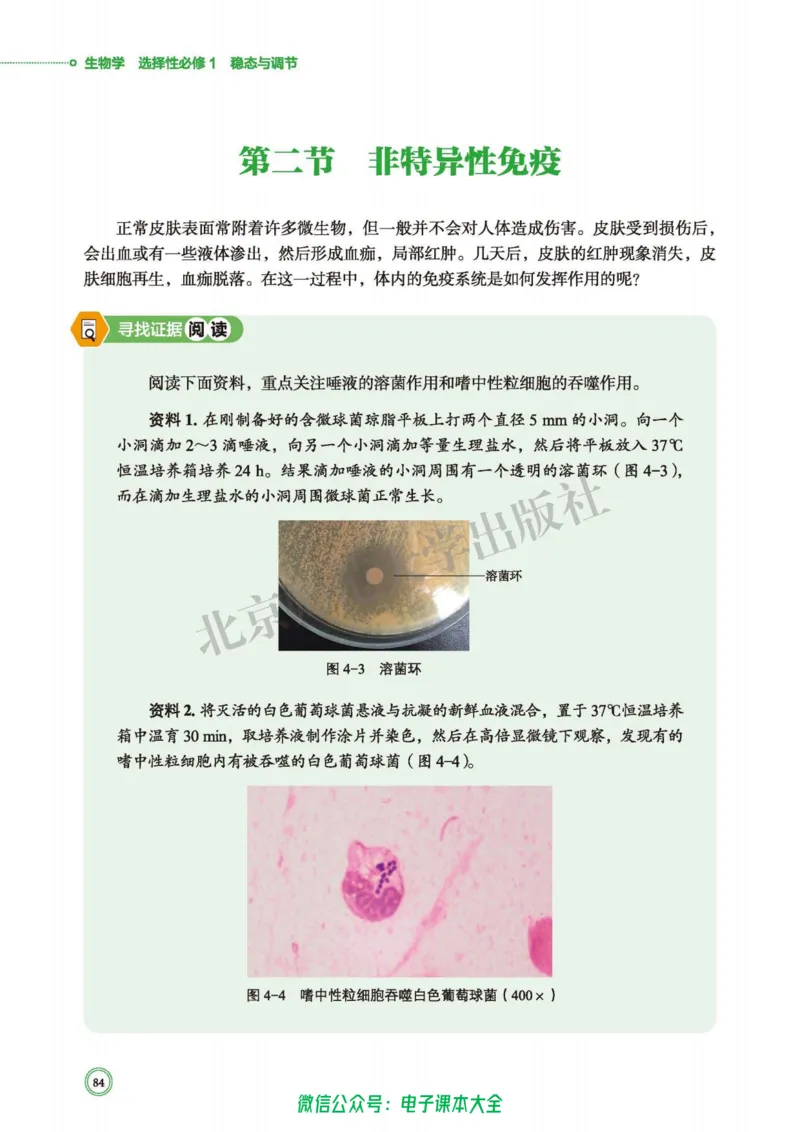生物学选择性必修1稳态与调节_高中三年全科资料_高中_高中电子教材_高中生物学_北师大