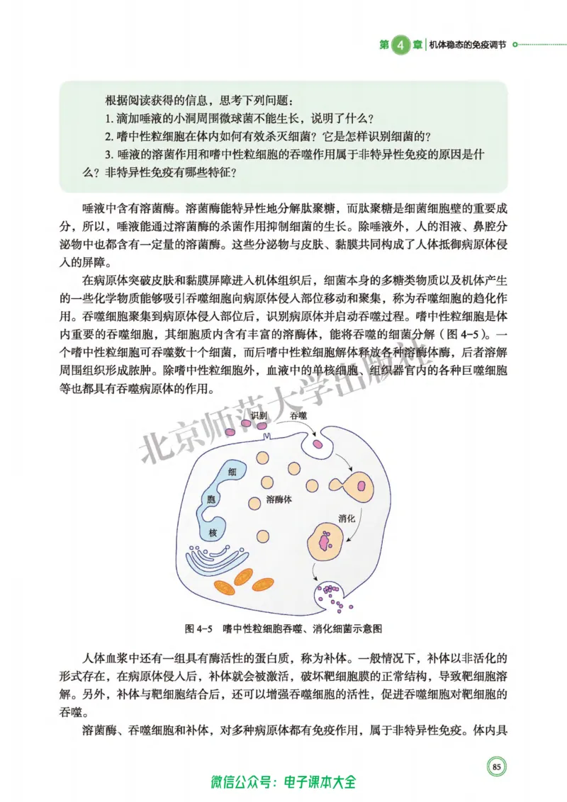 生物学选择性必修1稳态与调节_高中三年全科资料_高中_高中电子教材_高中生物学_北师大