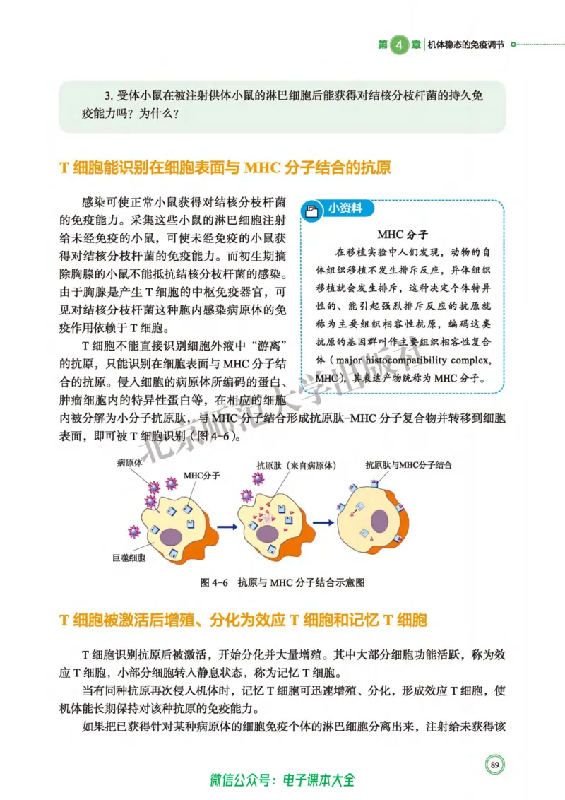 生物学选择性必修1稳态与调节_高中三年全科资料_高中_高中电子教材_高中生物学_北师大