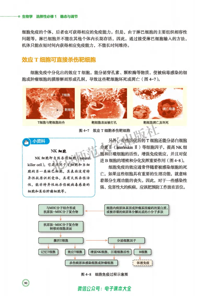 生物学选择性必修1稳态与调节_高中三年全科资料_高中_高中电子教材_高中生物学_北师大