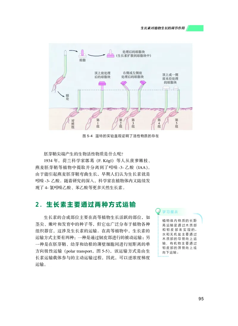 普通高中教科书生物学选择性必修1稳态与调节_高中三年全科资料_高中_高中电子教材_高中生物学_沪科技版
