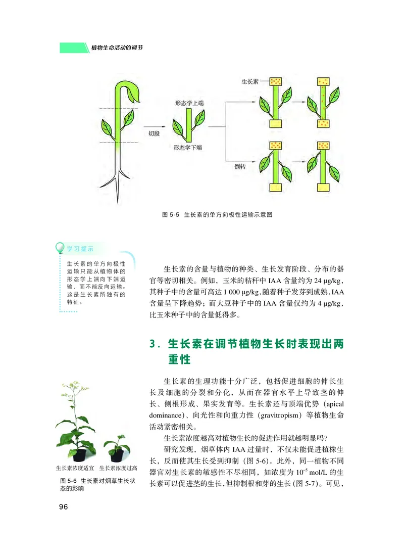 普通高中教科书生物学选择性必修1稳态与调节_高中三年全科资料_高中_高中电子教材_高中生物学_沪科技版