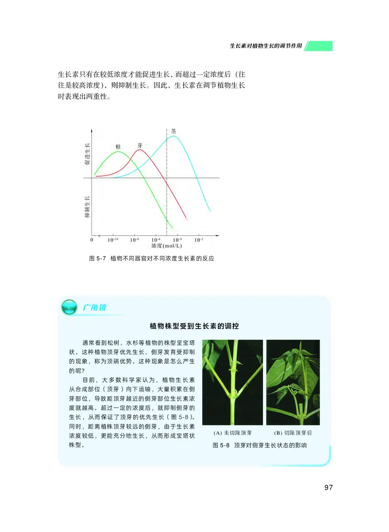 普通高中教科书生物学选择性必修1稳态与调节_高中三年全科资料_高中_高中电子教材_高中生物学_沪科技版