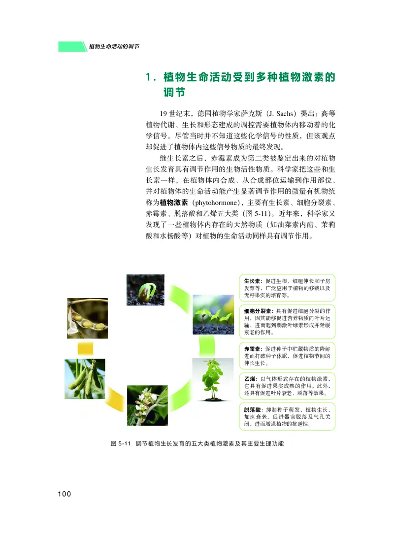 普通高中教科书生物学选择性必修1稳态与调节_高中三年全科资料_高中_高中电子教材_高中生物学_沪科技版