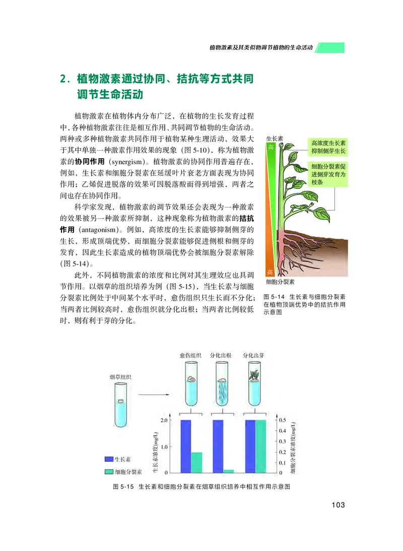 普通高中教科书生物学选择性必修1稳态与调节_高中三年全科资料_高中_高中电子教材_高中生物学_沪科技版