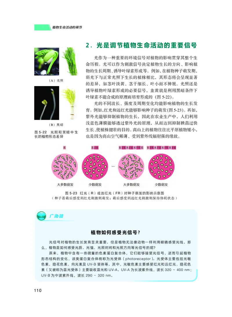 普通高中教科书生物学选择性必修1稳态与调节_高中三年全科资料_高中_高中电子教材_高中生物学_沪科技版