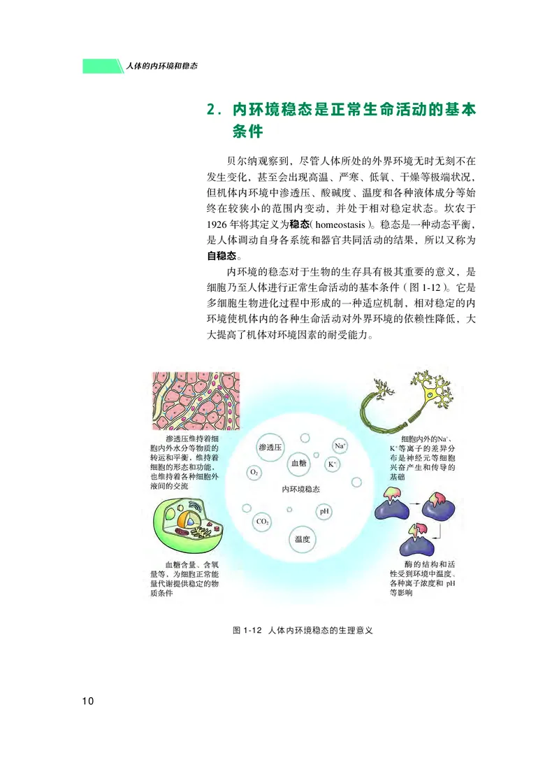 普通高中教科书生物学选择性必修1稳态与调节_高中三年全科资料_高中_高中电子教材_高中生物学_沪科技版