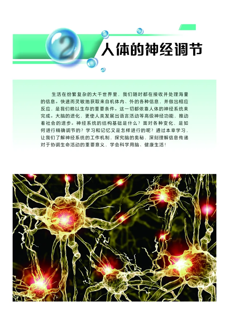 普通高中教科书生物学选择性必修1稳态与调节_高中三年全科资料_高中_高中电子教材_高中生物学_沪科技版
