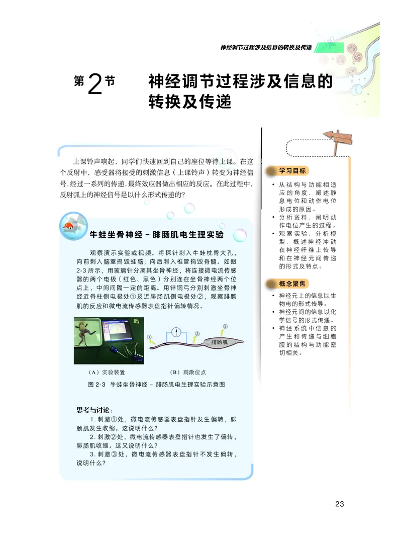 普通高中教科书生物学选择性必修1稳态与调节_高中三年全科资料_高中_高中电子教材_高中生物学_沪科技版