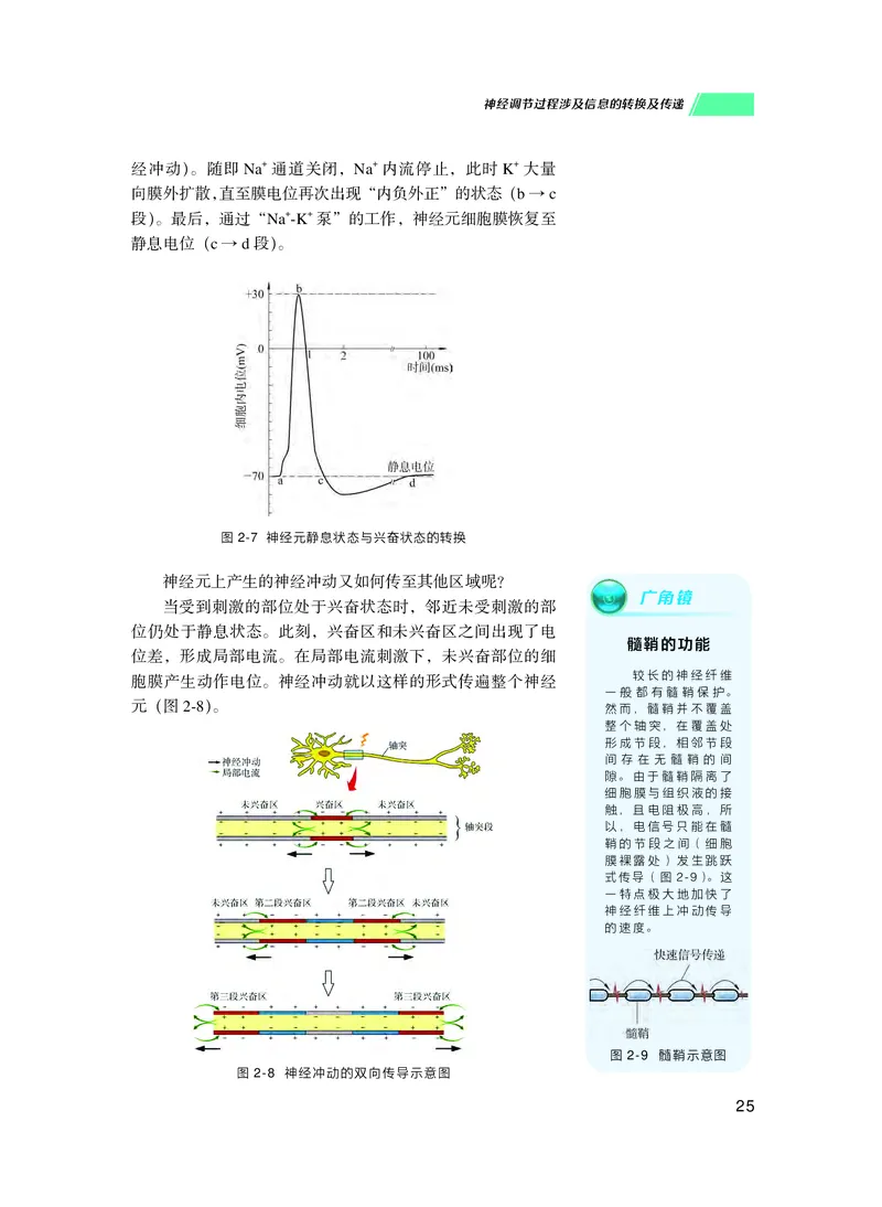 普通高中教科书生物学选择性必修1稳态与调节_高中三年全科资料_高中_高中电子教材_高中生物学_沪科技版