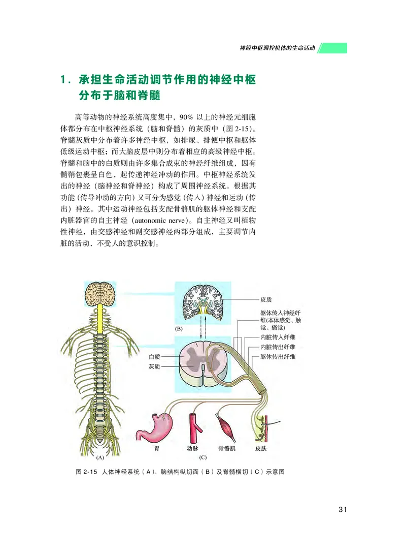 普通高中教科书生物学选择性必修1稳态与调节_高中三年全科资料_高中_高中电子教材_高中生物学_沪科技版