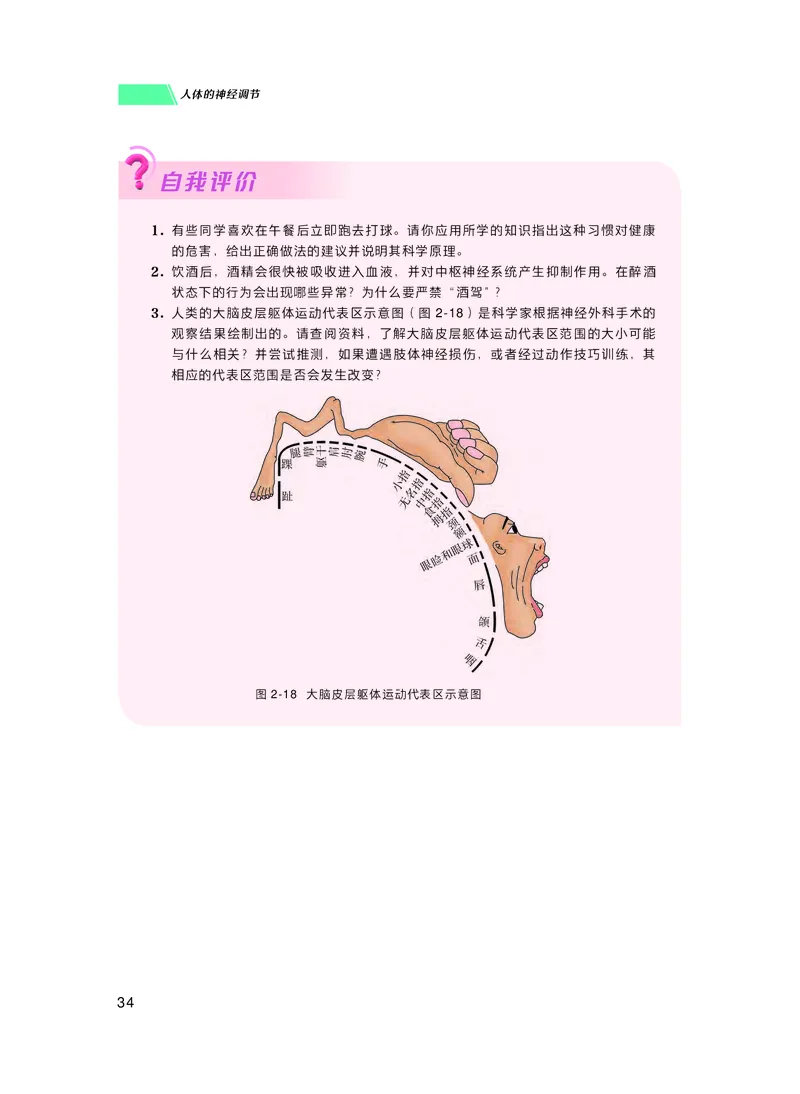 普通高中教科书生物学选择性必修1稳态与调节_高中三年全科资料_高中_高中电子教材_高中生物学_沪科技版